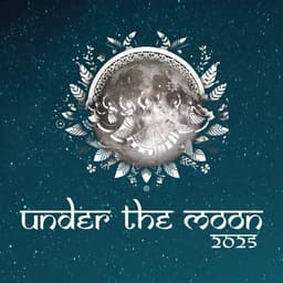 Under the Moon